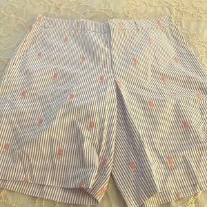 Lily Pulitzer Seersucker Shorts size 32
